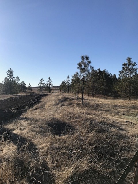 Xxx West Bobwhite Road Cheney, WA 99004 - Photo 5 of 18