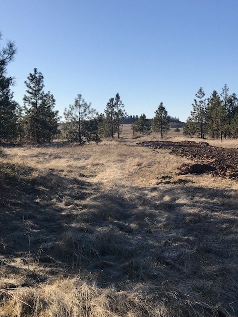 Xxx West Bobwhite Road Cheney, WA 99004 - Photo 7 of 18