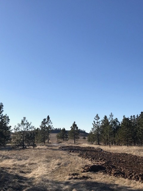 Xxx West Bobwhite Road Cheney, WA 99004 - Photo 8 of 18