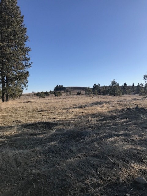 Xxx West Bobwhite Road Cheney, WA 99004 - Photo 9 of 18