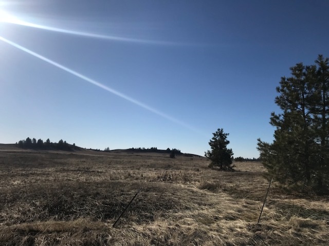 Xxx West Bobwhite Road Cheney, WA 99004 - Photo 10 of 18