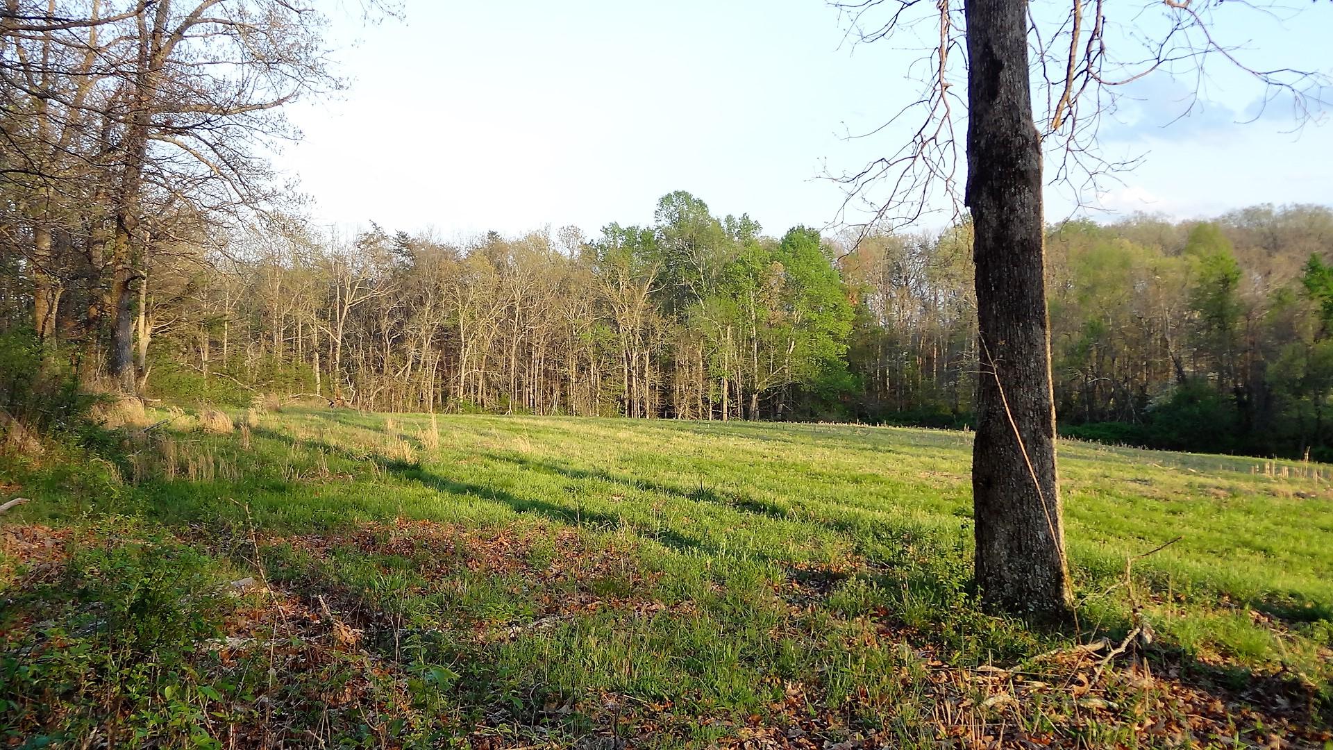 Wattenbarger Road Crossville, TN 38571 - Photo 1 of 18 DSC05667