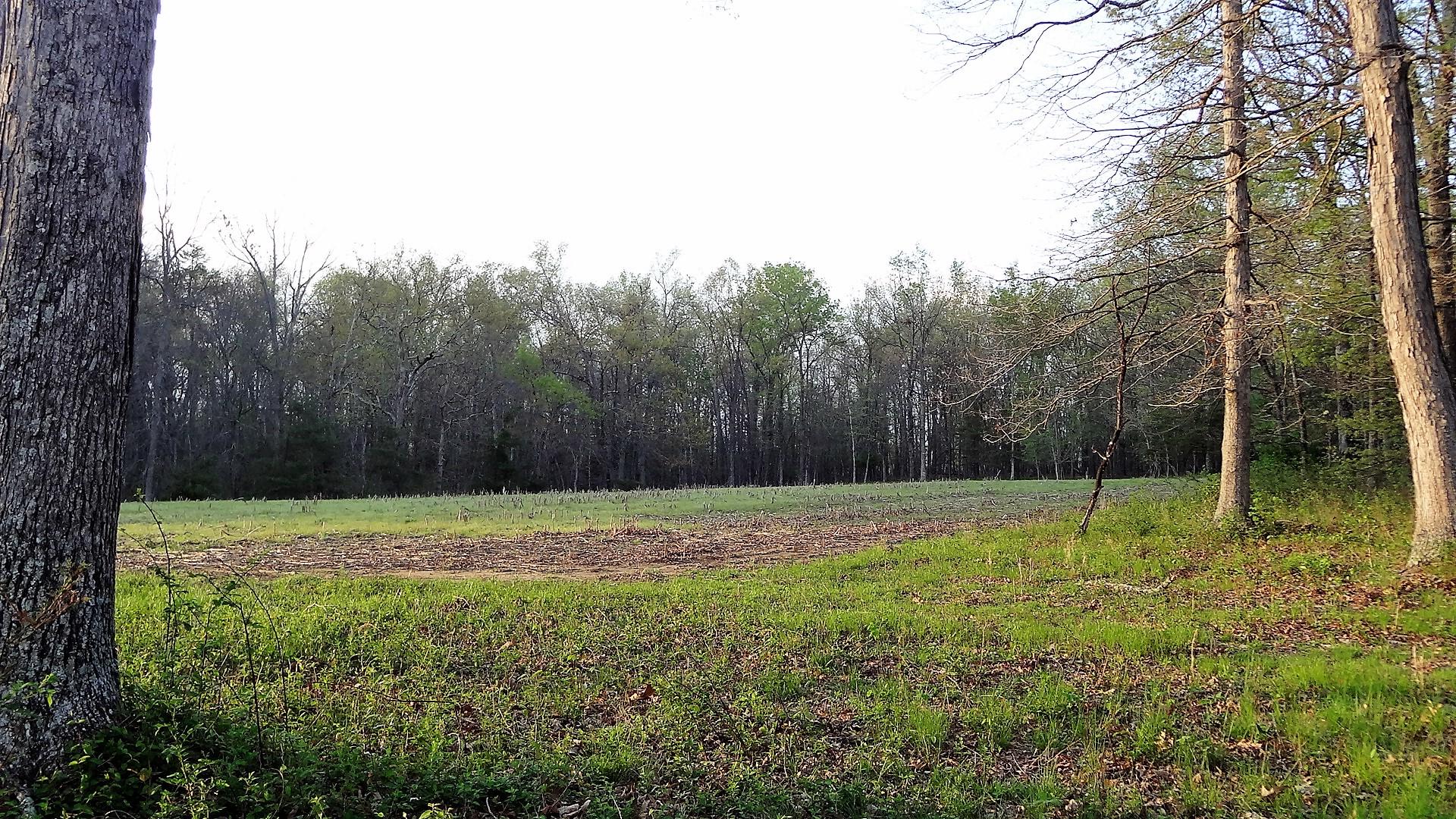 Wattenbarger Road Crossville, TN 38571 - Photo 2 of 18 DSC05666