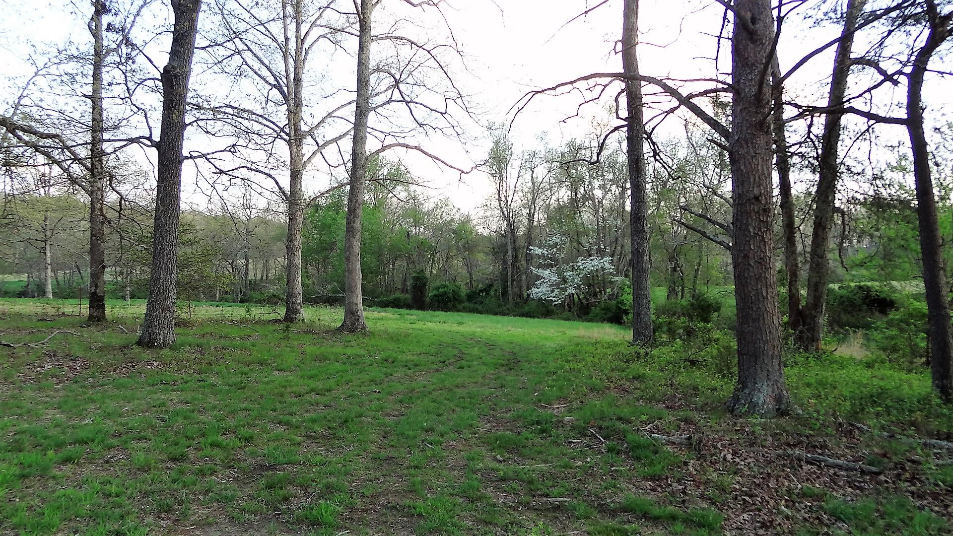 Wattenbarger Road Crossville, TN 38571 - Photo 11 of 18 DSC05662