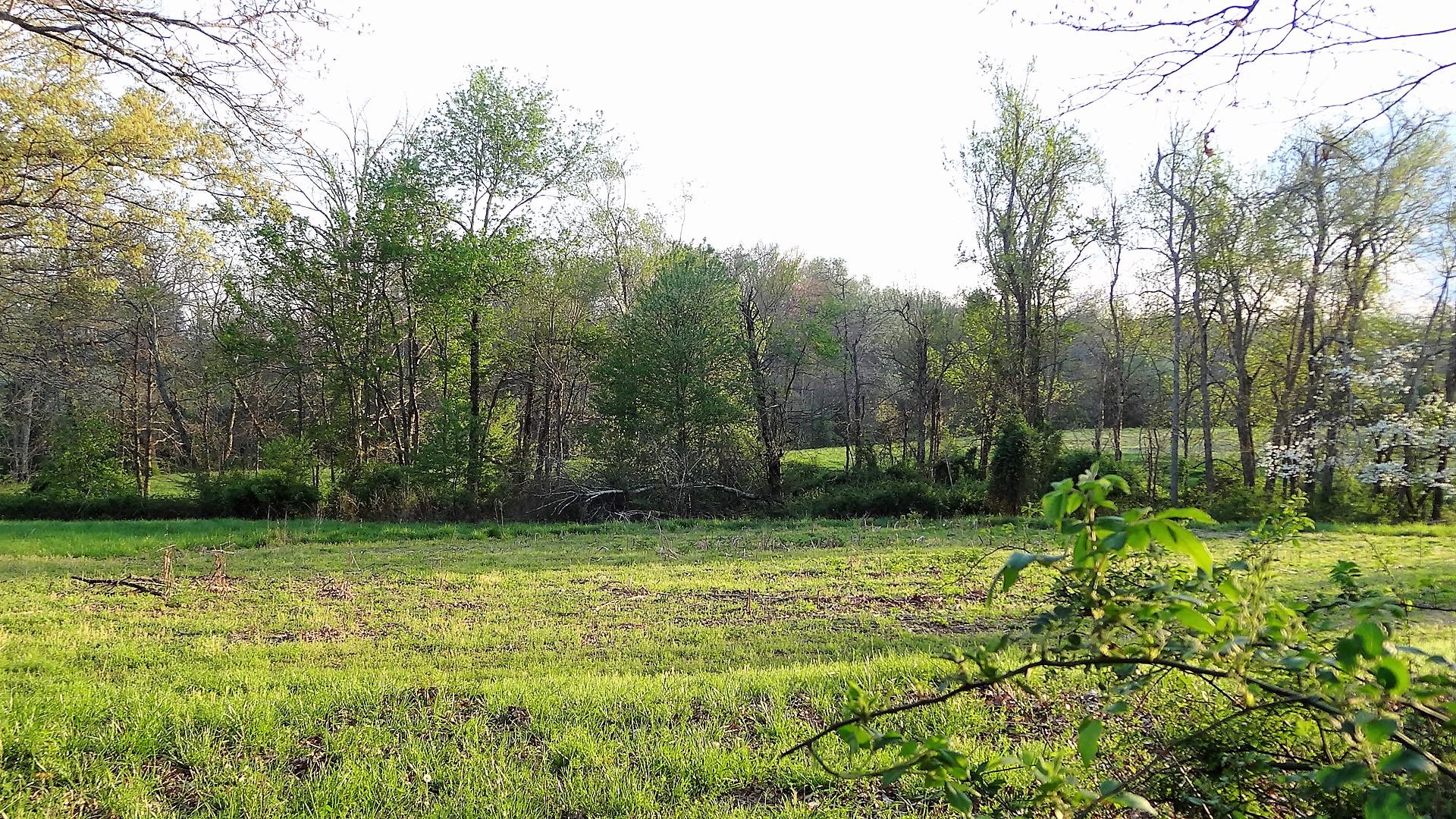 Wattenbarger Road Crossville, TN 38571 - Photo 13 of 18 DSC05669