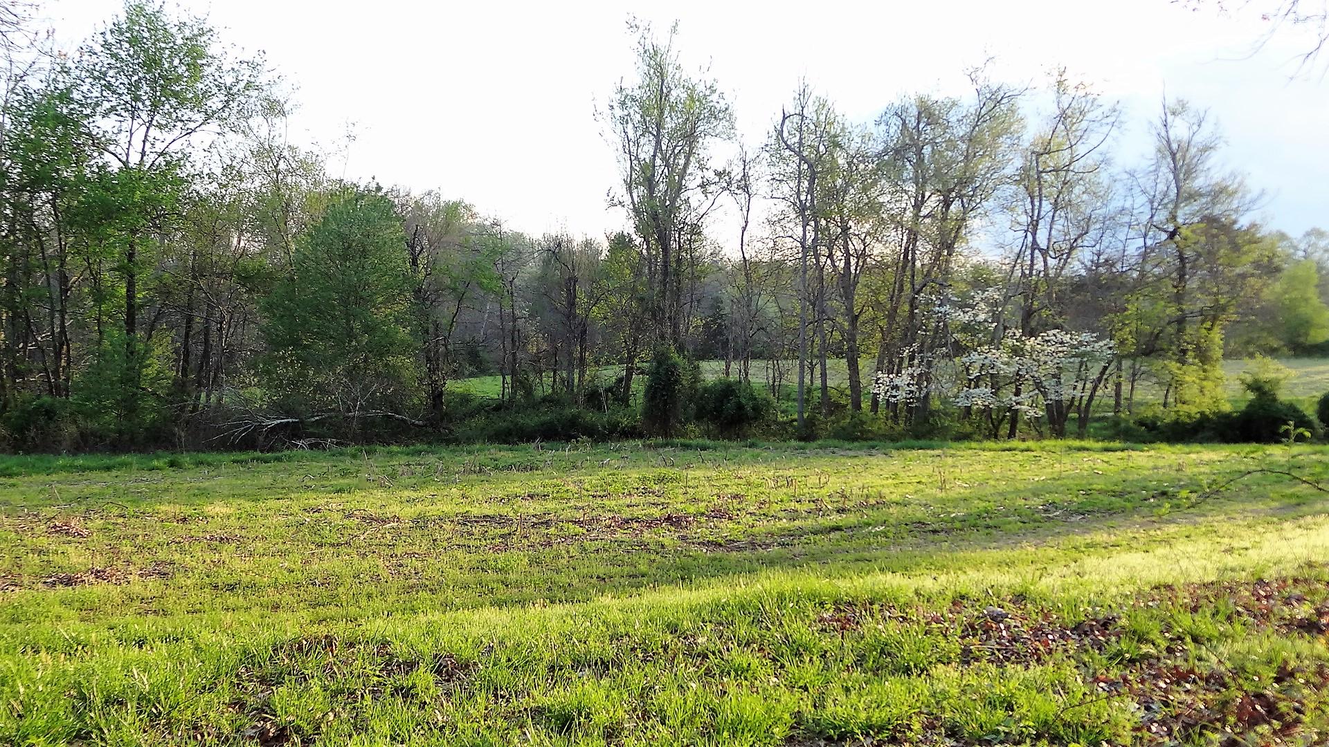Wattenbarger Road Crossville, TN 38571 - Photo 14 of 18 DSC05670