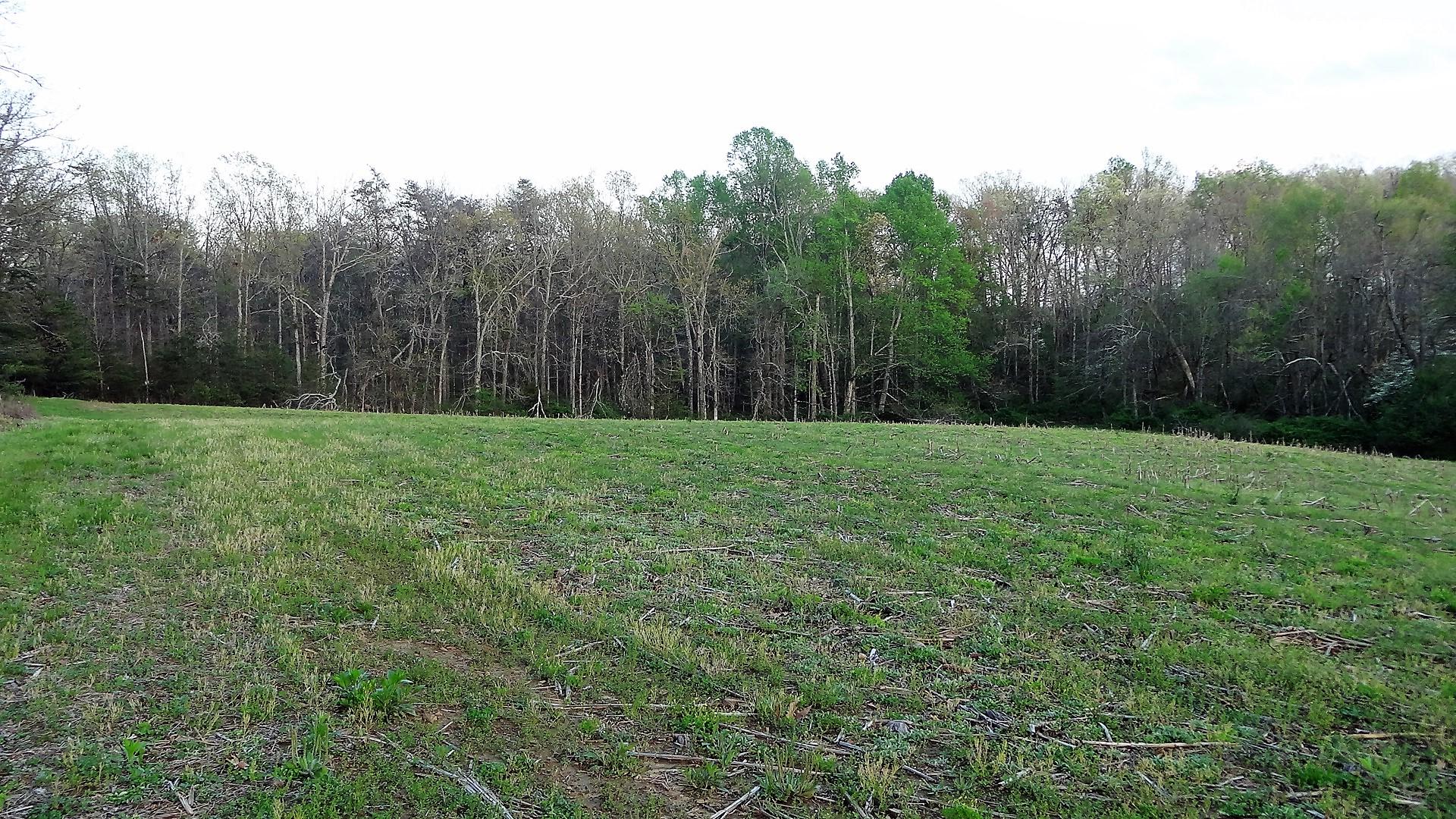 Wattenbarger Road Crossville, TN 38571 - Photo 15 of 18 DSC05671