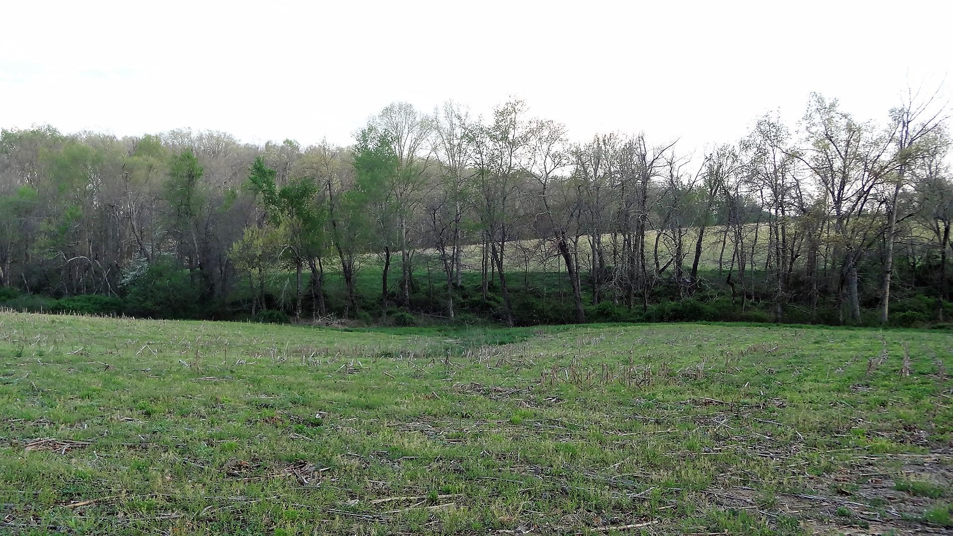 Wattenbarger Road Crossville, TN 38571 - Photo 16 of 18 DSC05672