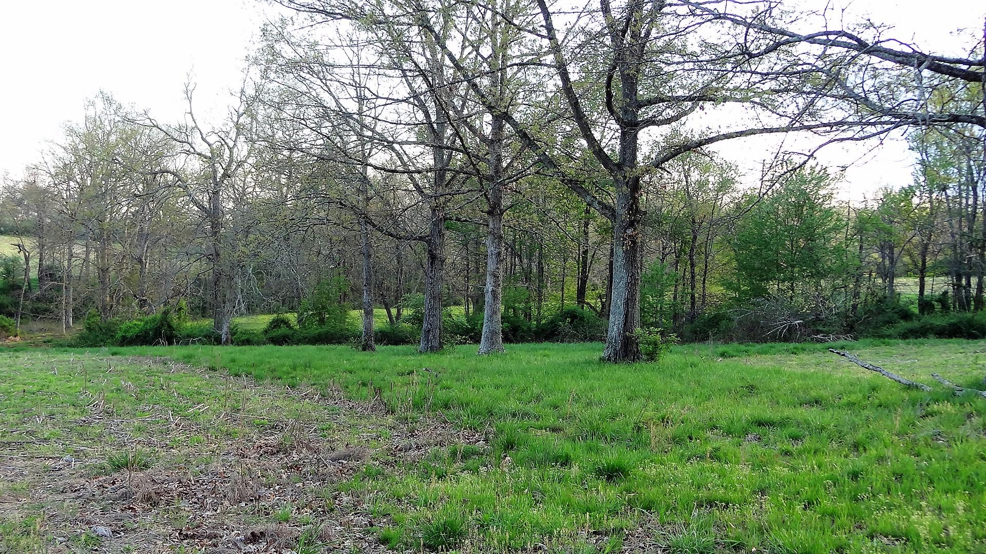 Wattenbarger Road Crossville, TN 38571 - Photo 17 of 18 DSC05673