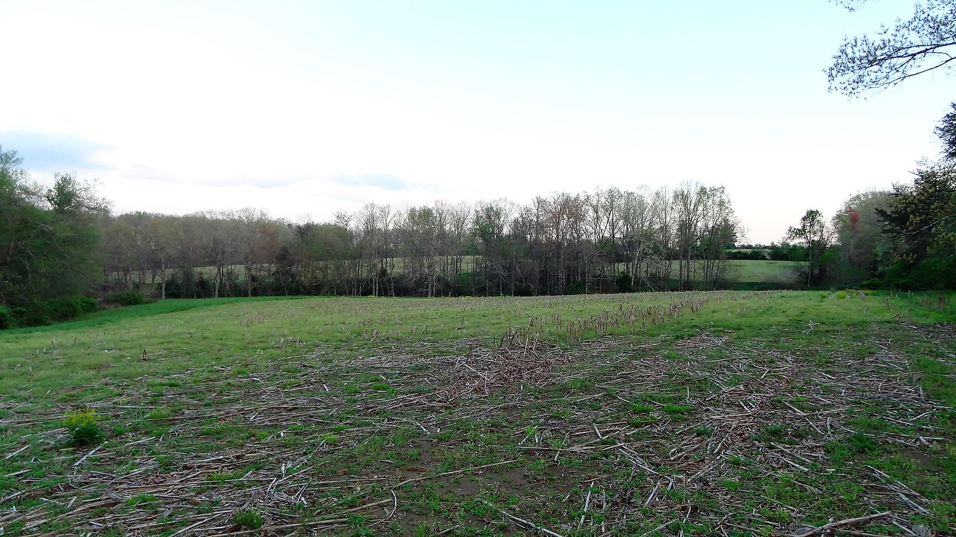 Wattenbarger Road Crossville, TN 38571 - Photo 18 of 18 DSC05674