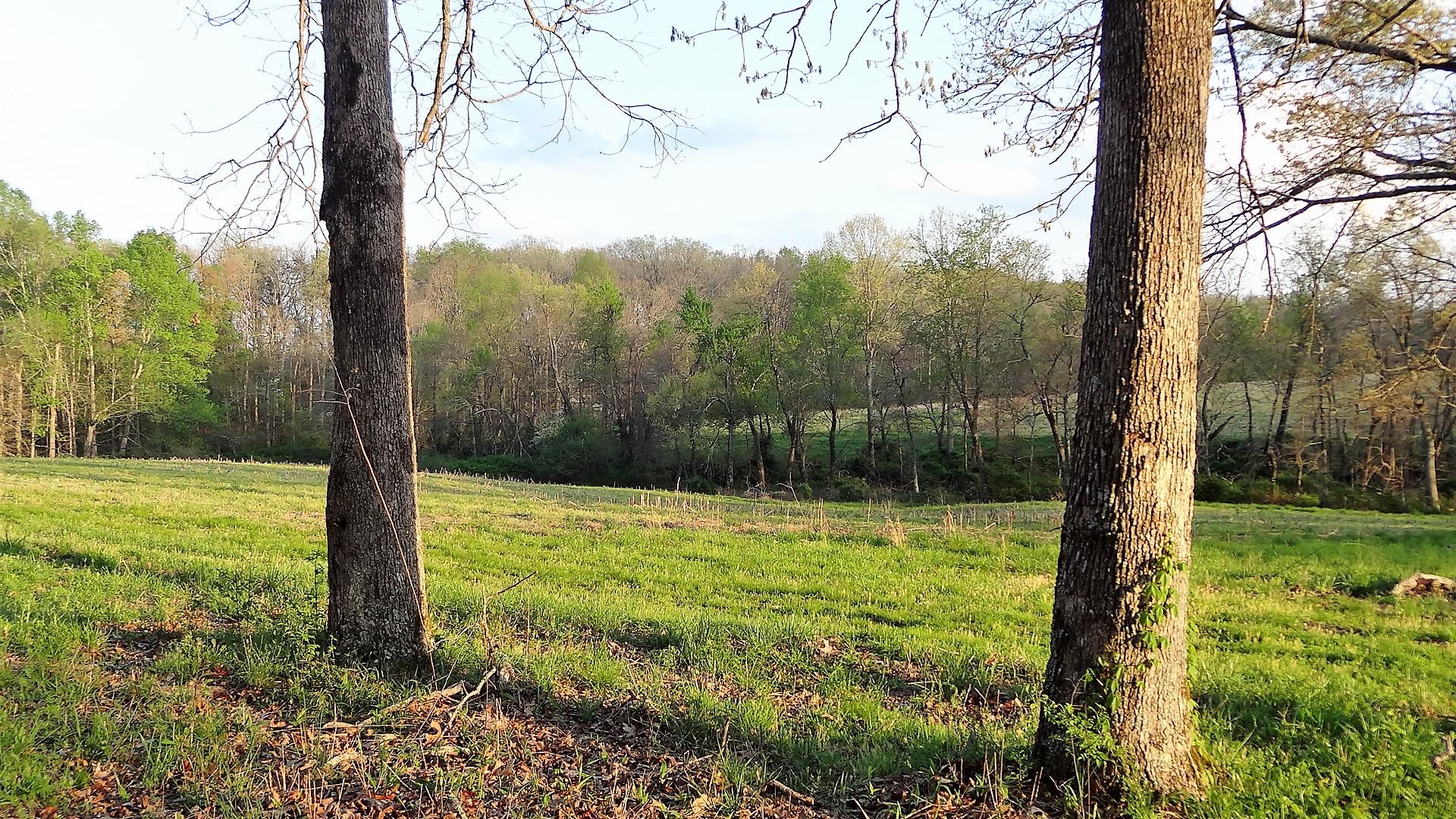 Wattenbarger Road Crossville, TN 38571 - Photo 3 of 18 DSC05668