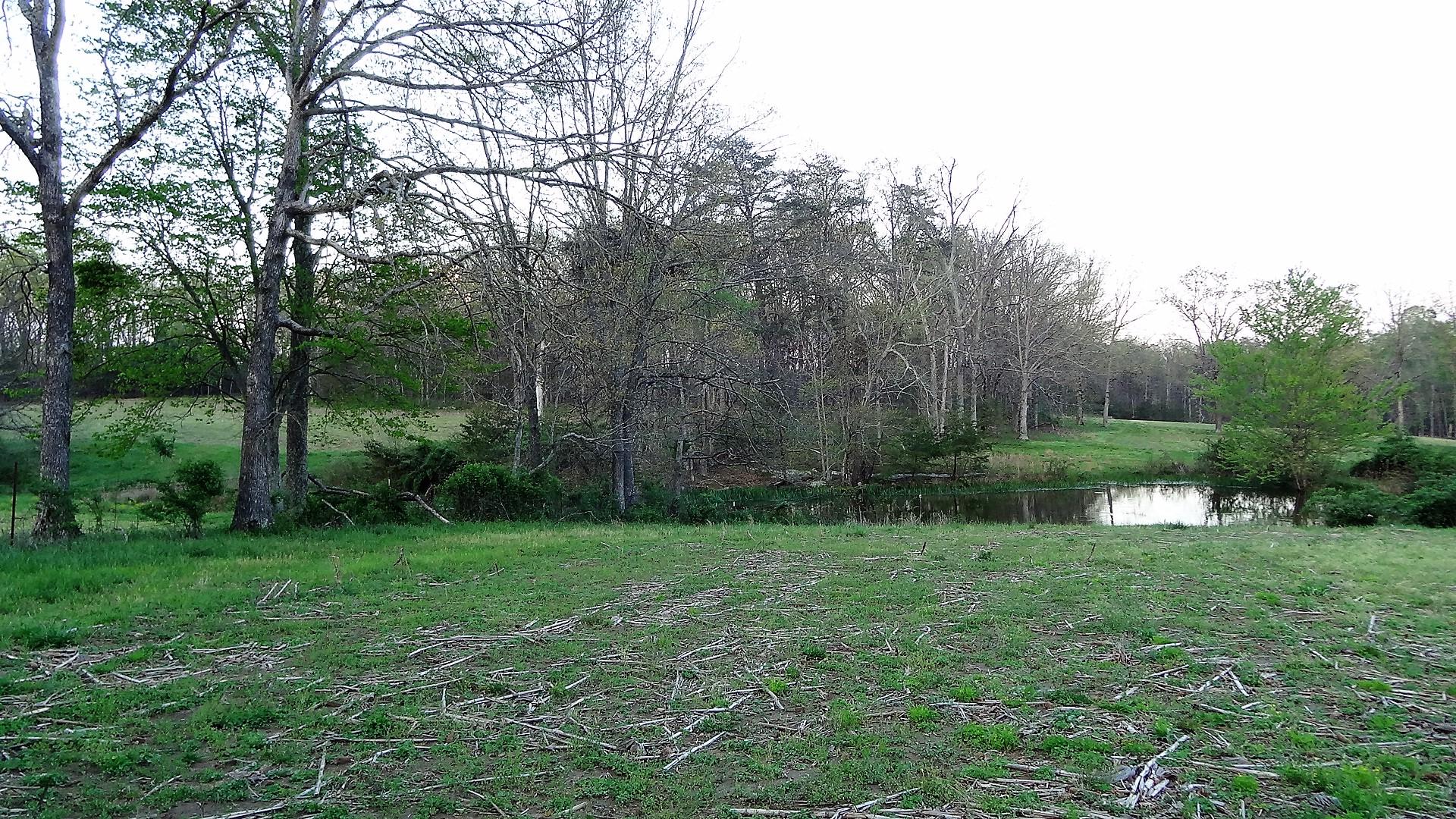Wattenbarger Road Crossville, TN 38571 - Photo 4 of 18 DSC05676