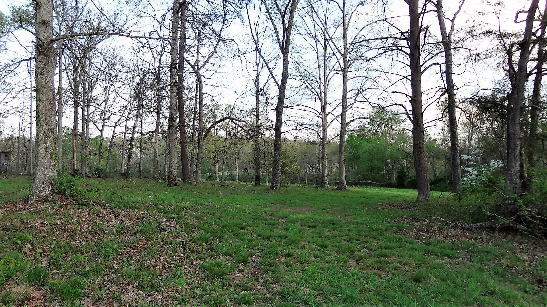 Wattenbarger Road Crossville, TN 38571 - Photo 10 of 18 DSC05661