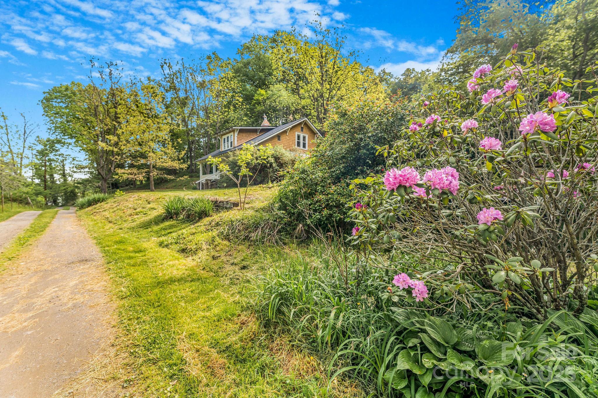 71 Persimmon Lane Canton, NC 28716 - Photo 24 of 25 a view of a flower in a garden