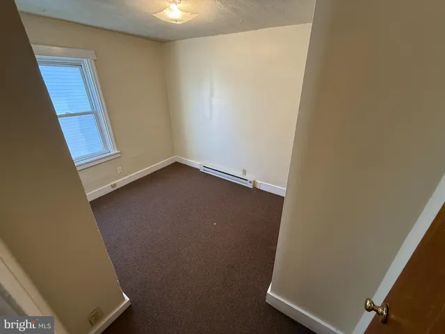 a view of backyard with tree