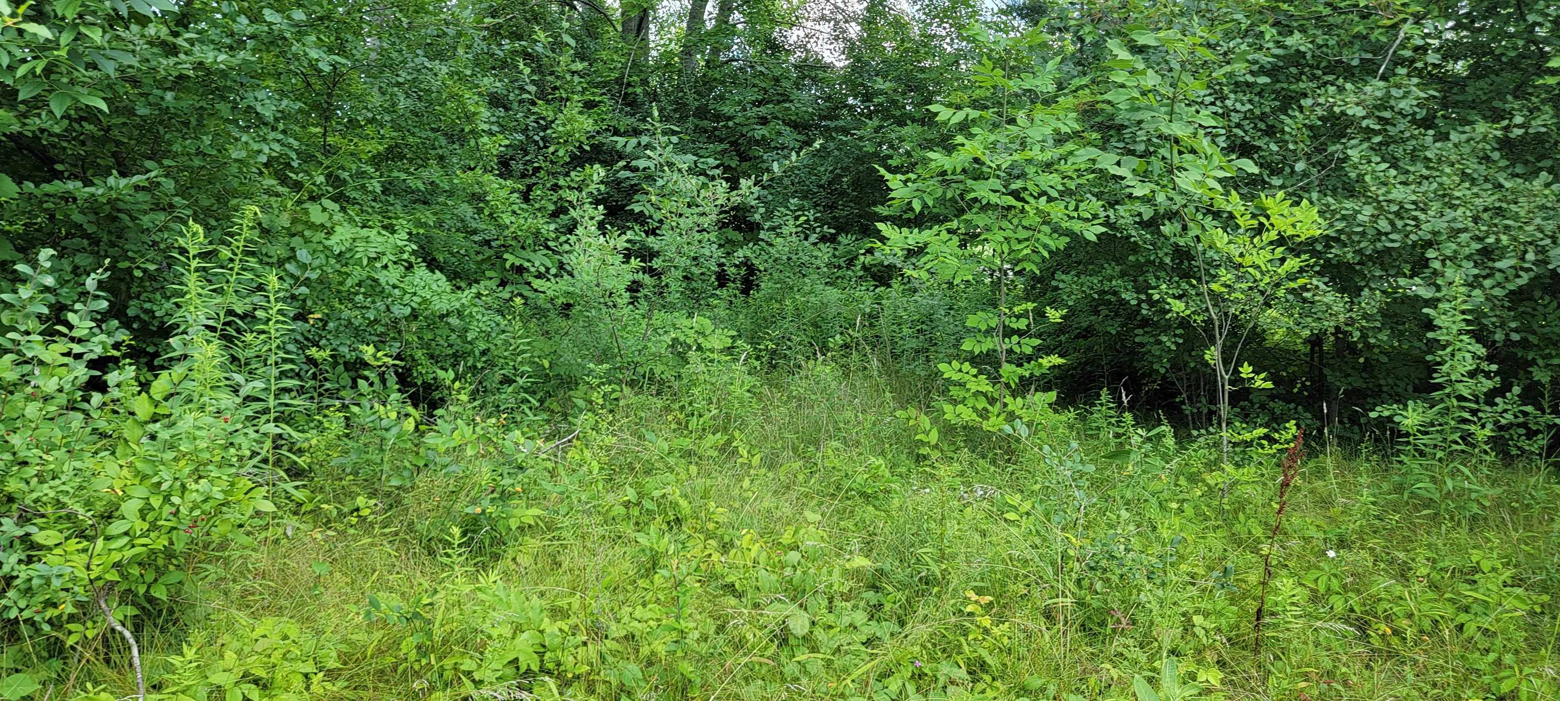 North Linden Road Clio, MI 48420 - Photo 3 of 8 Gallery Image 3