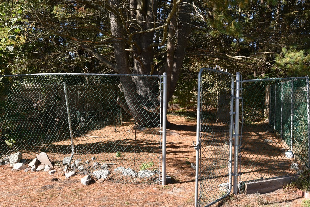 9 Joseph Road Framingham, MA 01701 - Photo 26 of 30