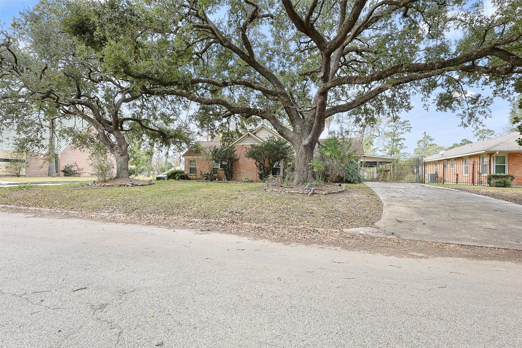 4425 Laurel Drive Houston, TX 77021 - Photo 4 of 11 a view of dirt yard with a large tree