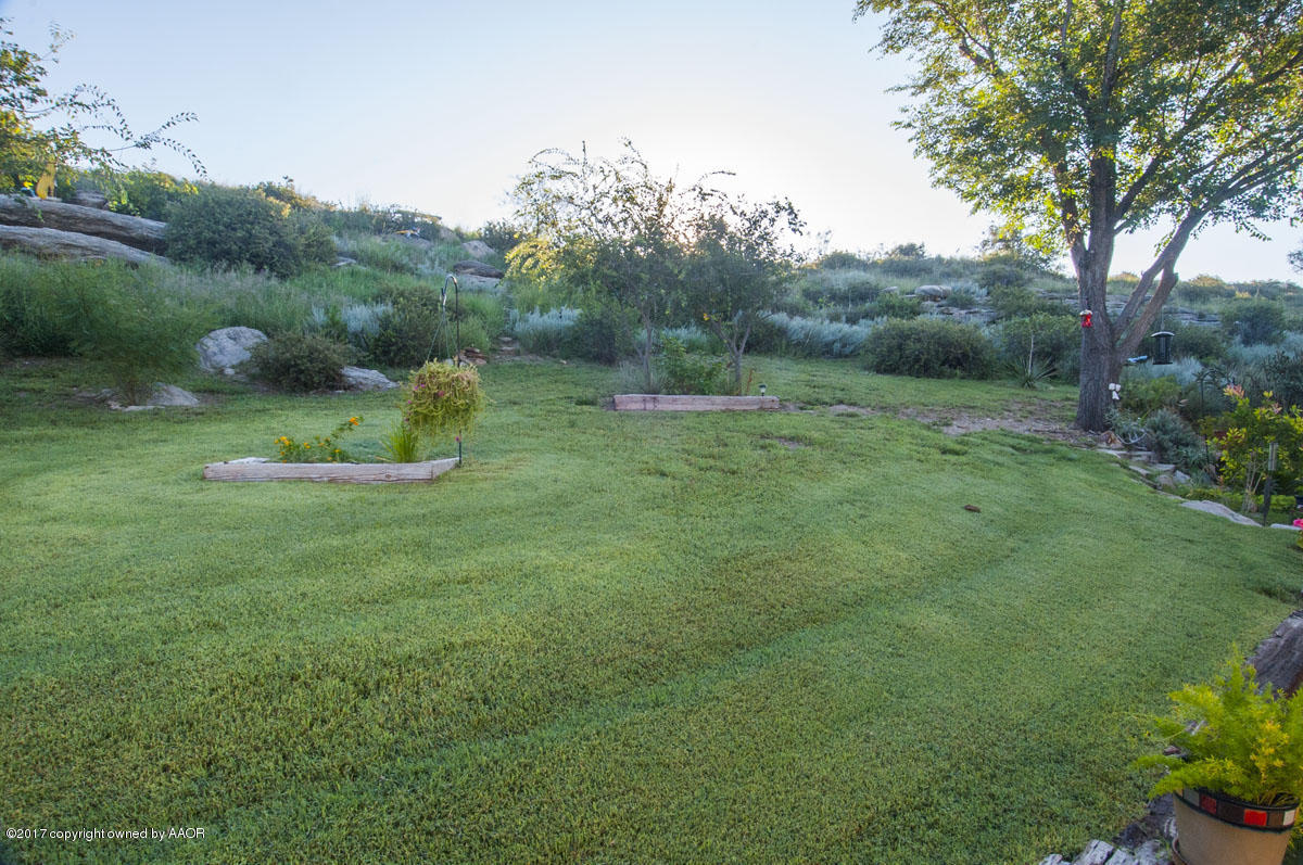 8 Cambridge Road Amarillo, TX 79124 - Photo 47 of 61 YARD VIEW 2