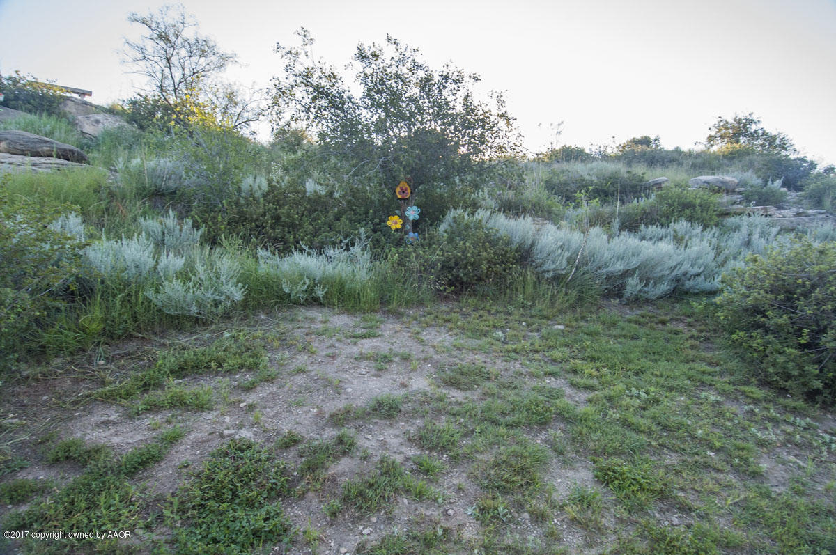 8 Cambridge Road Amarillo, TX 79124 - Photo 49 of 61 YARD VIEW 4