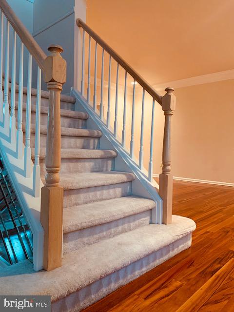 1427 West Rockspray Road Jamison, PA 18929 - Photo 27 of 70 Gallery Image 27