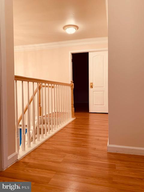 1427 West Rockspray Road Jamison, PA 18929 - Photo 47 of 70 Gallery Image 47