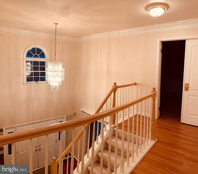 1427 West Rockspray Road Jamison, PA 18929 - Photo 57 of 70 Gallery Image 57