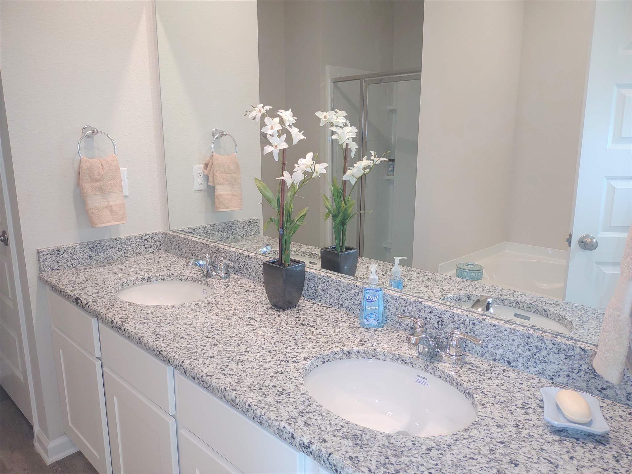 24116 Veranda Circle Elberta, AL 36530 - Photo 8 of 8