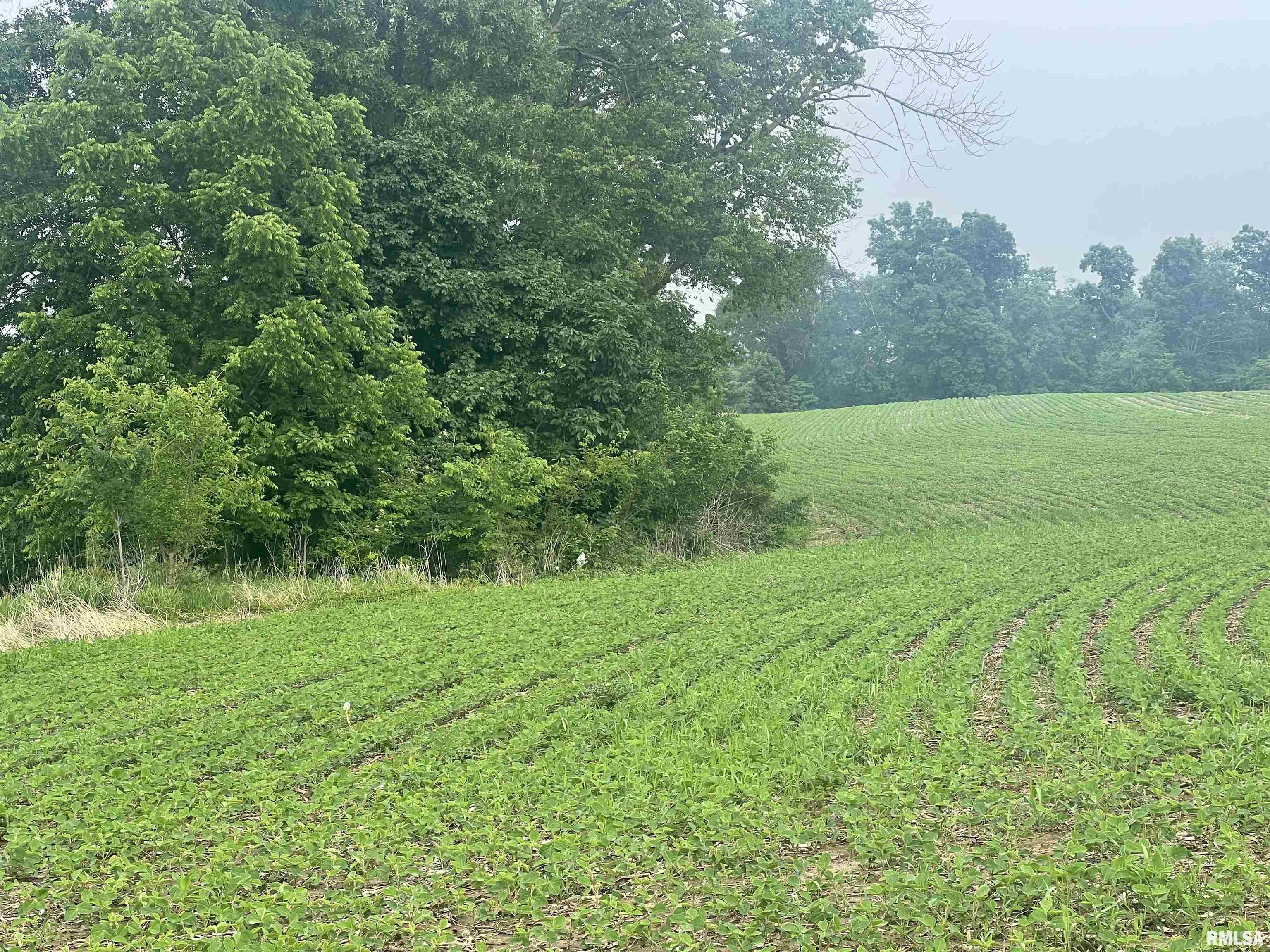 14953 East Grain Bin Road Lewistown, IL 61542 - Photo 7 of 7