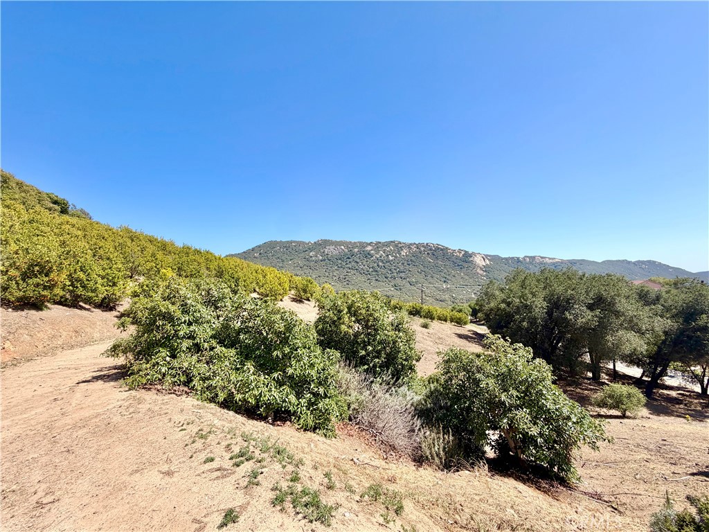 29165 Ridgeline Court Temecula, CA 92590 - Photo 56 of 59