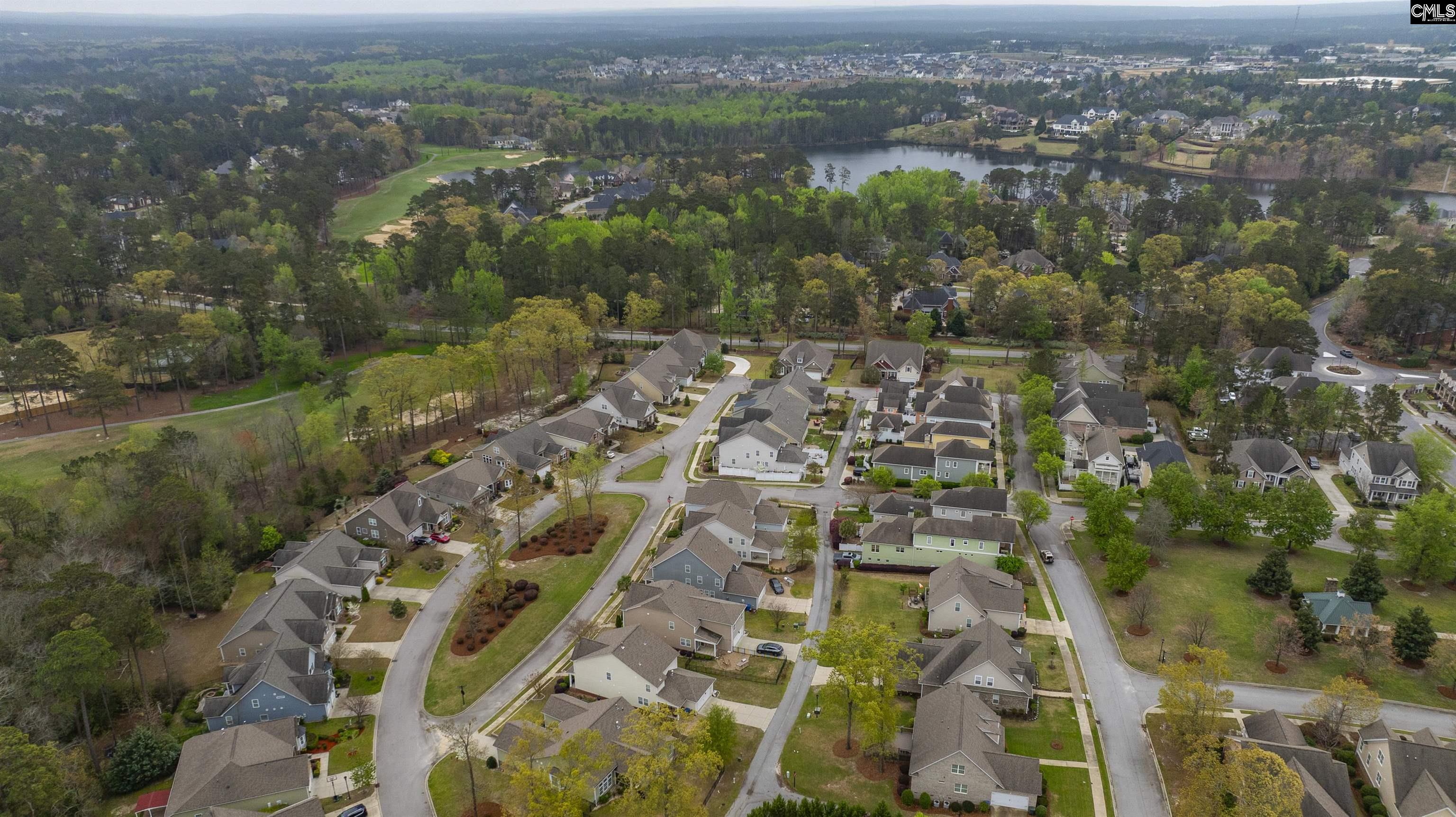 250 Thacher Loop Elgin, SC 29045 - Photo 63 of 73