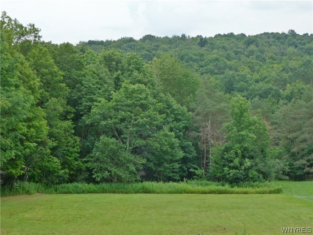 347 Johnson Hollow Road Ischua, NY 14727 - Photo 19 of 34 Gallery Image 19