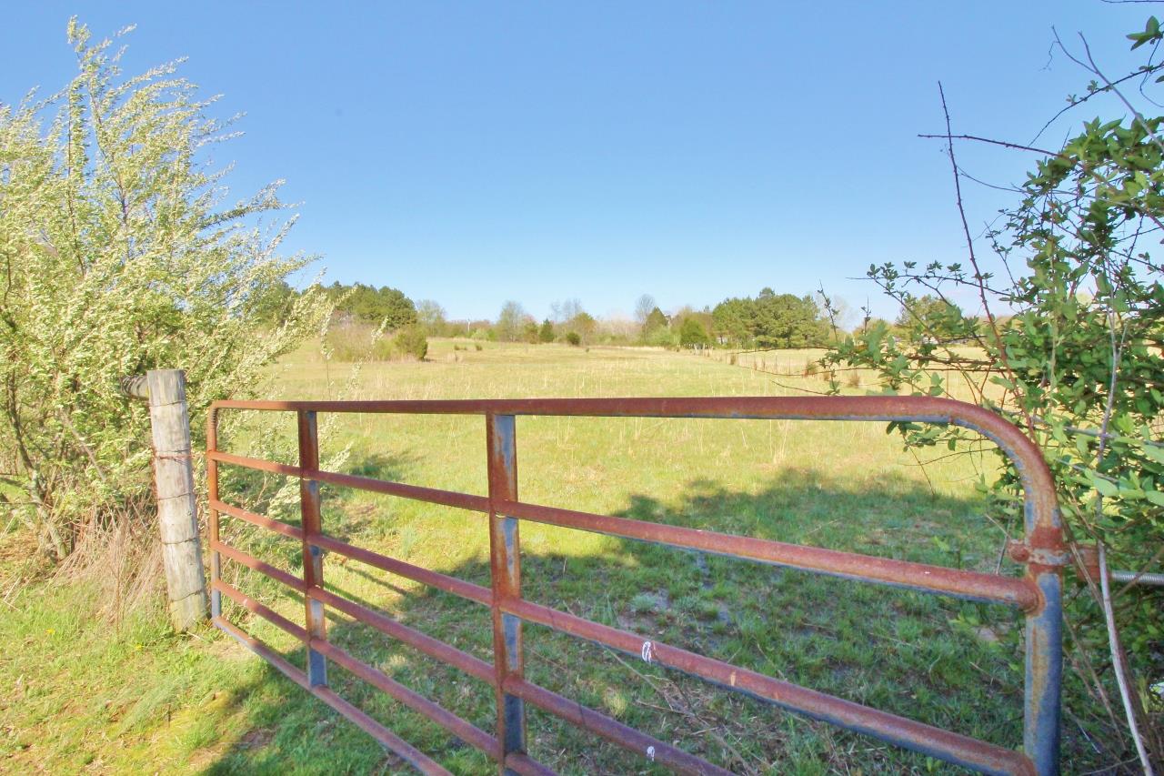 1119 Maple Hill Road Lebanon, TN 37087 - Photo 24 of 30 a view of a garden and mountain view