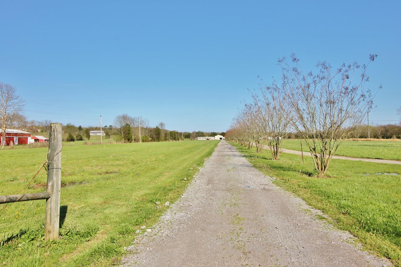 1119 Maple Hill Road Lebanon, TN 37087 - Photo 7 of 30 a view of a pathway both side of grassy field with shrub