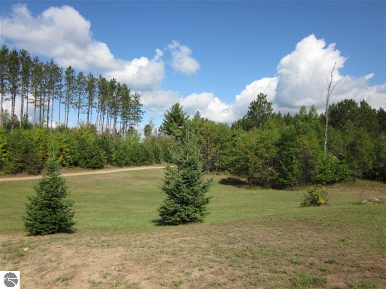 150 Colt Road Northeast Kalkaska, MI 49646 - Photo 21 of 29 1776196-20.JPG