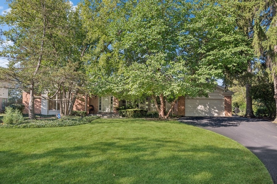 a view of a park with large trees