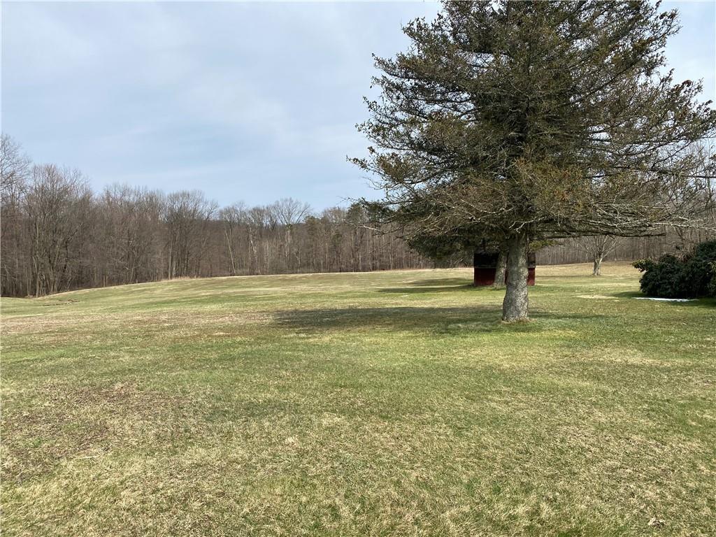 5260 Sandy Lake Road Cochranton, PA 16314 - Photo 3 of 21