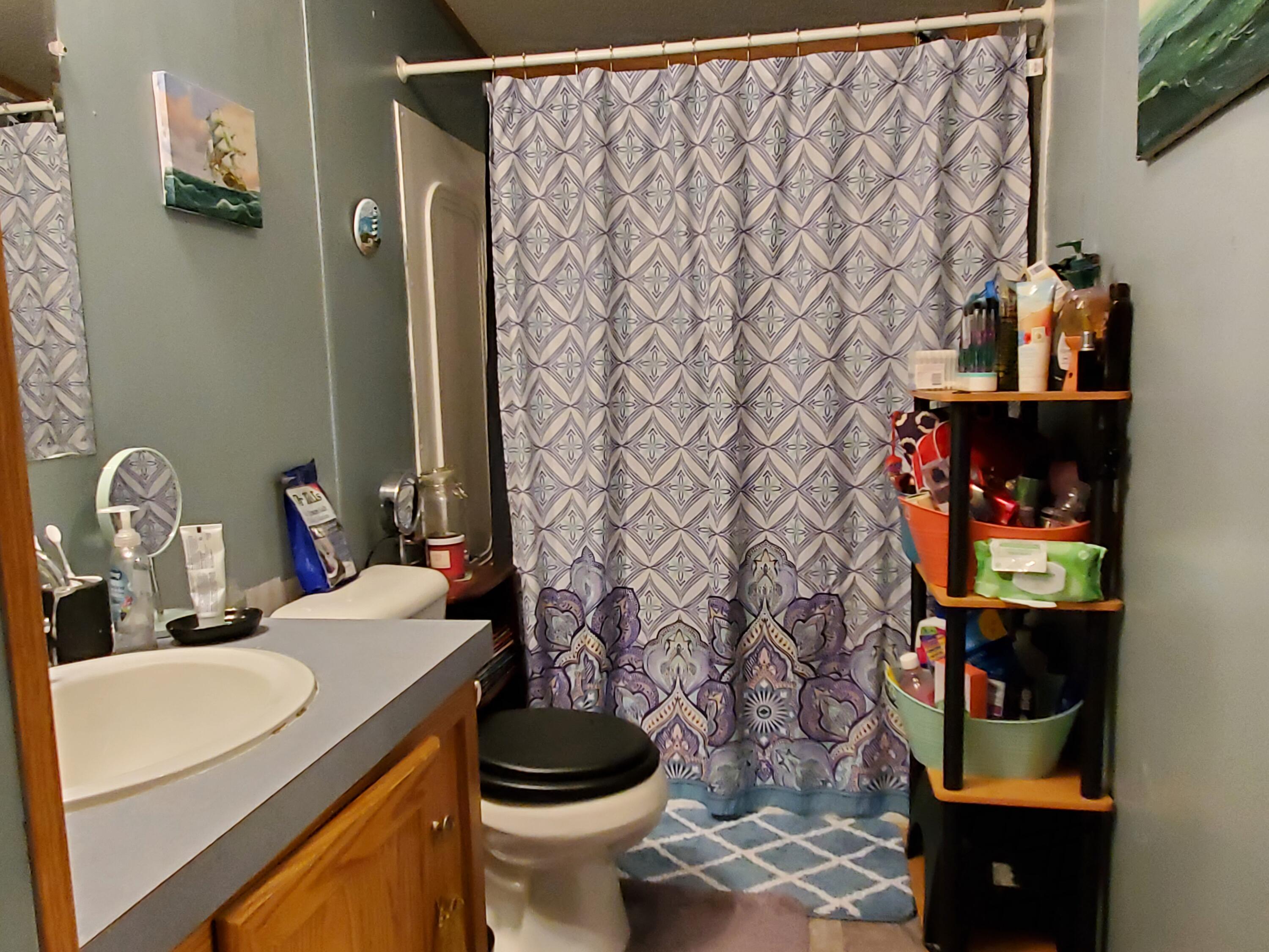 3438 William Brunson Road Summerton, SC 29148 - Photo 15 of 22 GUEST BATHROOM