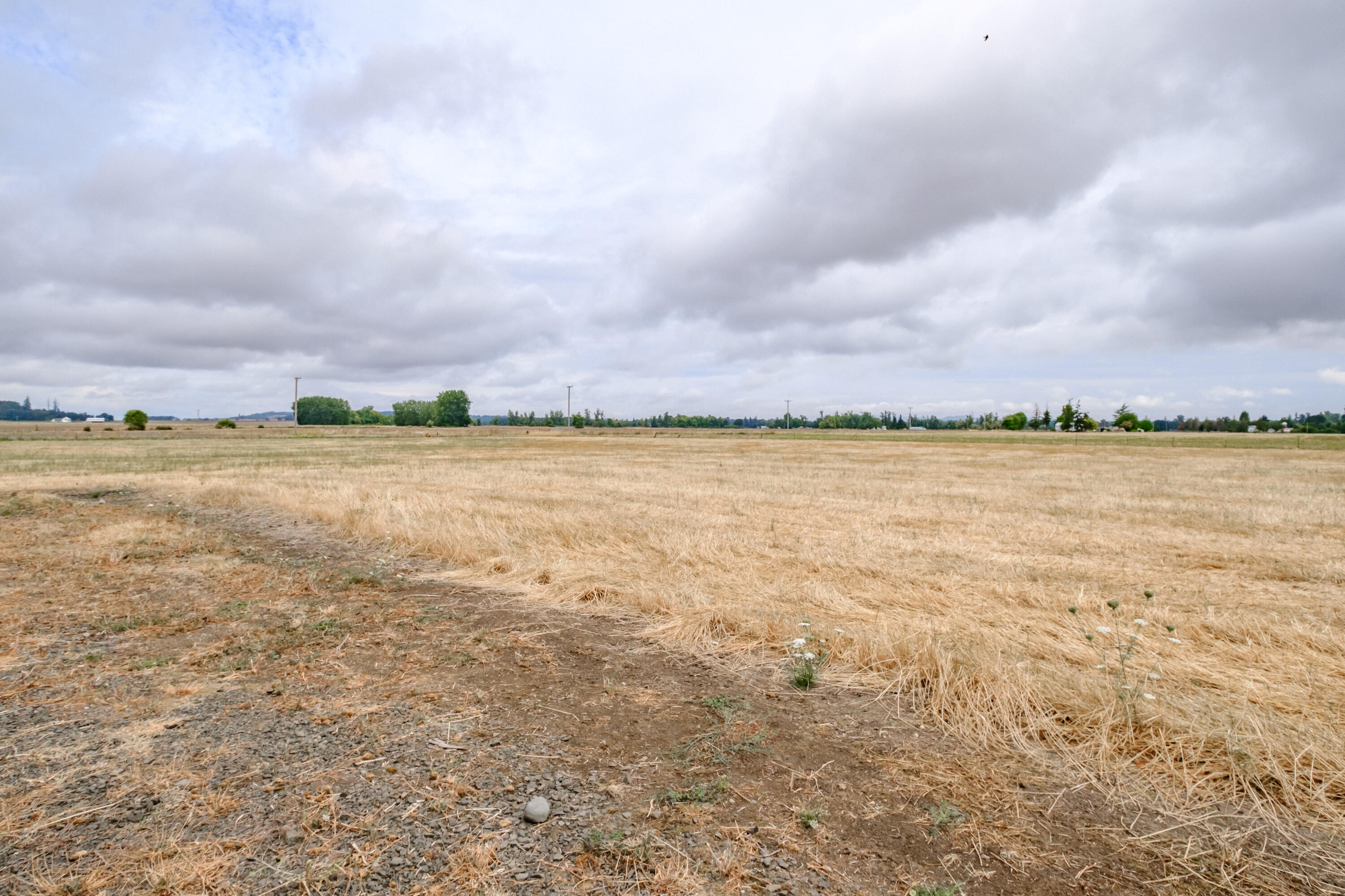 36767 Lickskillet Road Northeast Albany, OR 97322 - Photo 48 of 50 Export-3591