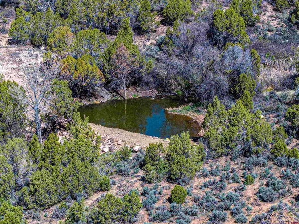 $259,000 | Lot 3 Rimrock Road, Hotchkiss, CO 81419