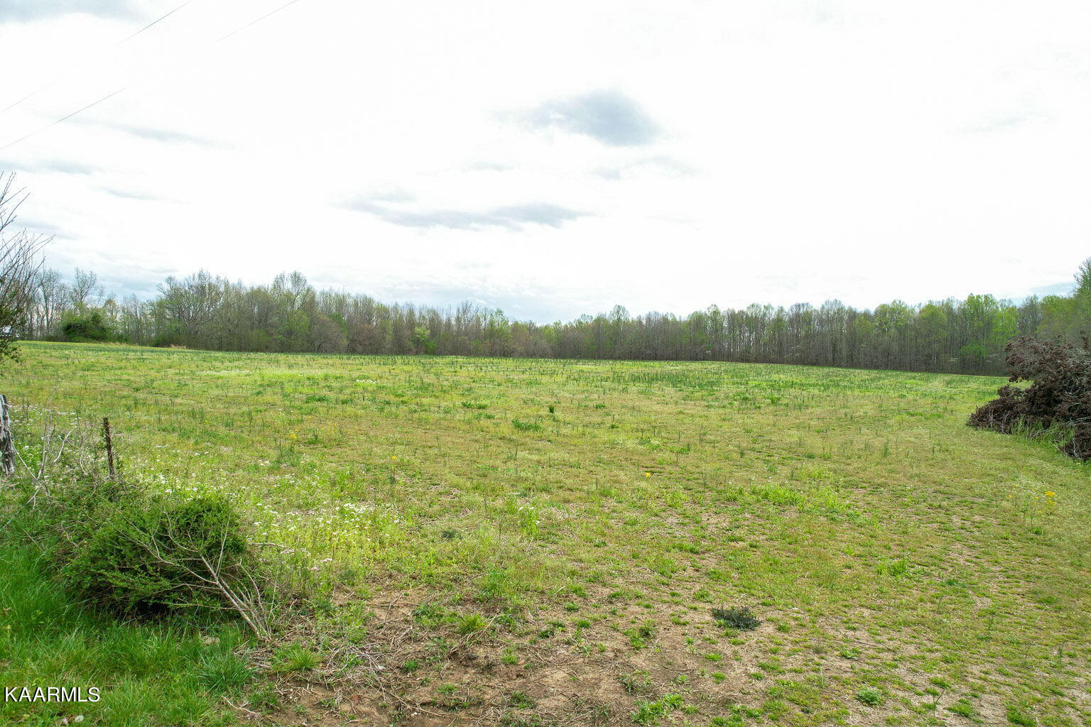 Bob Gentry Road Cookeville, TN 38506 - Photo 6 of 15 14-web-or-mls-DJI_0010