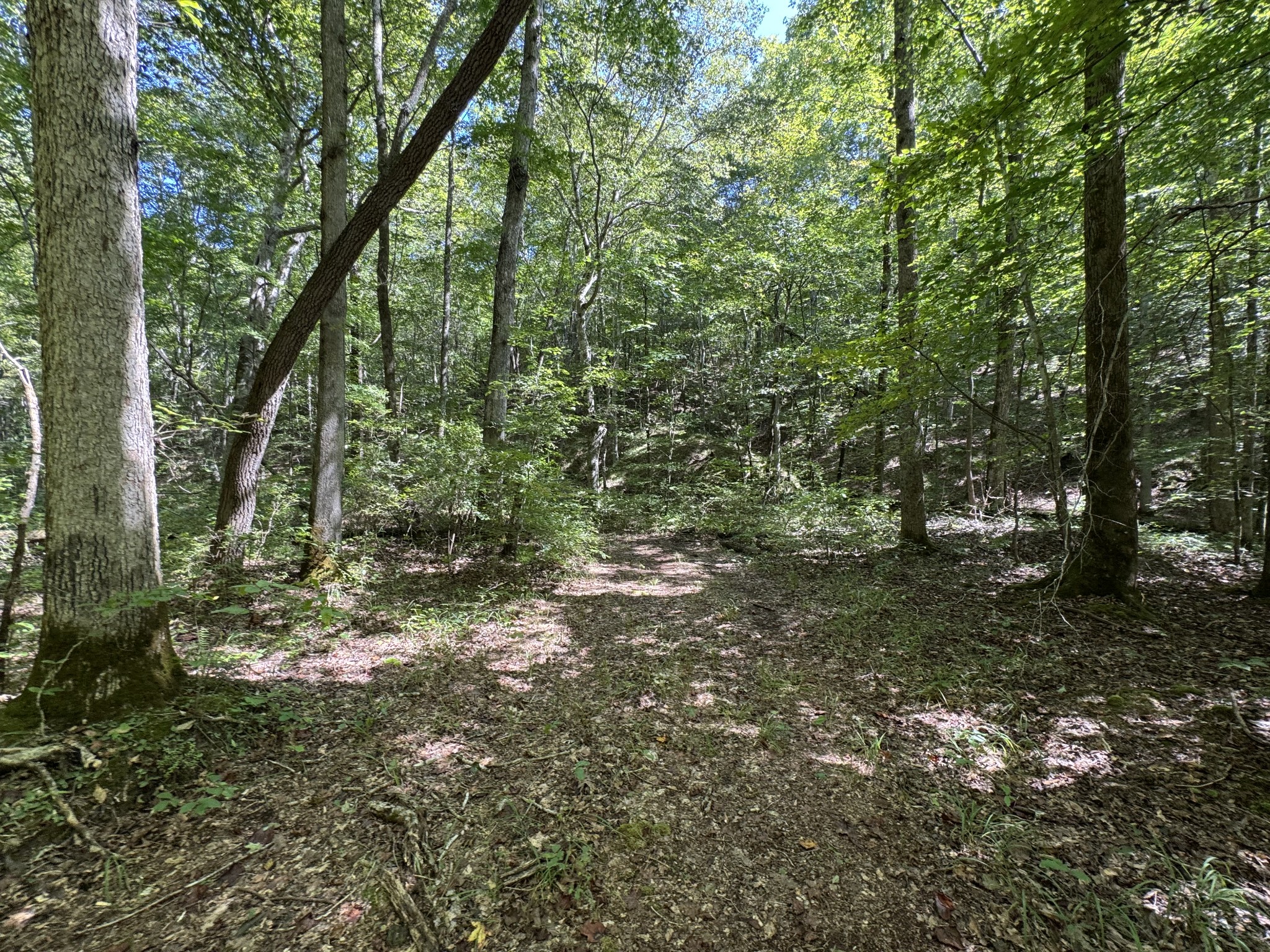 107 Sickler Road Hohenwald, TN 38462 - Photo 44 of 84 Gallery Image 44