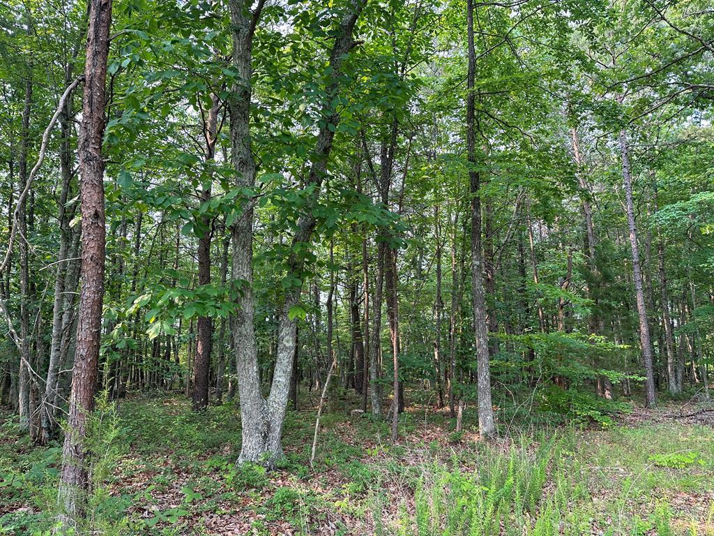 661 Texas School Road Wingina, VA 24599 - Photo 1 of 2 Gallery Image 1