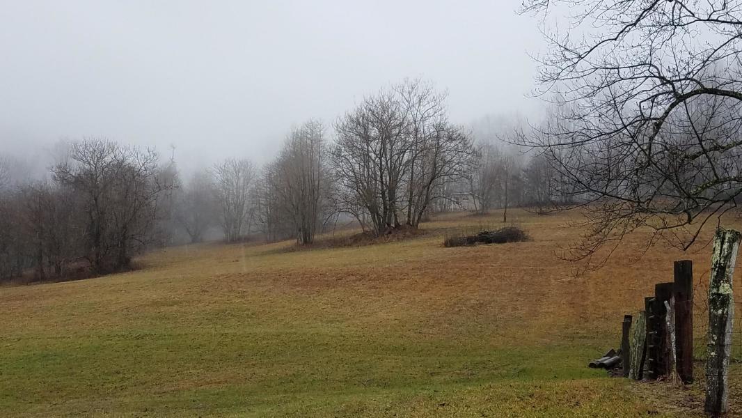 153 Lemons Road Eidson, TN 37731 - Photo 22 of 38 20200214230839877702000000-o