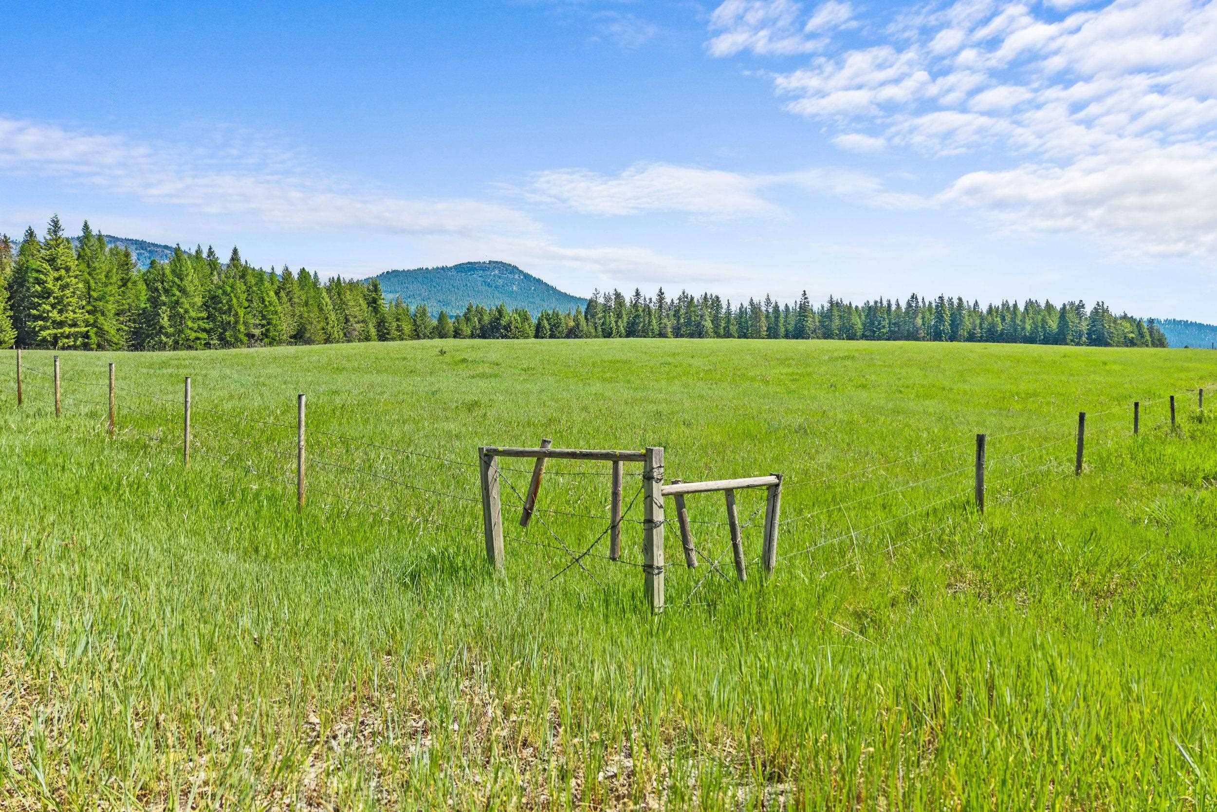 988 Orin-Rice Road Colville, WA 99114 - Photo 3 of 30