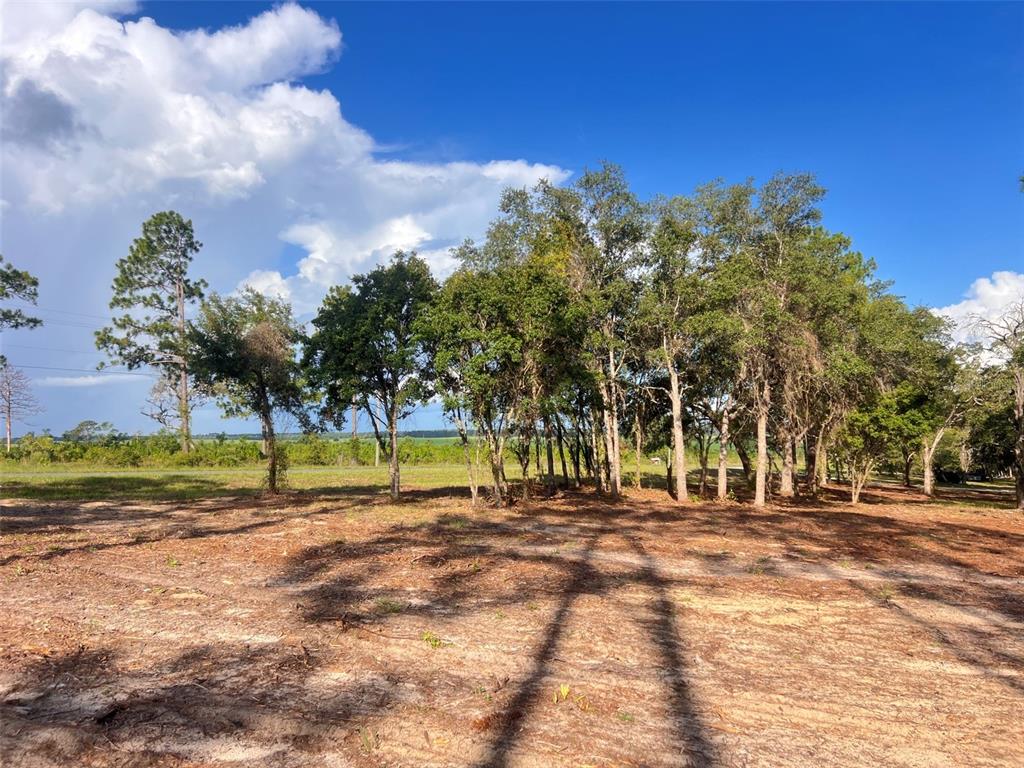 Levy Street Williston, FL 32696 - Photo 2 of 26