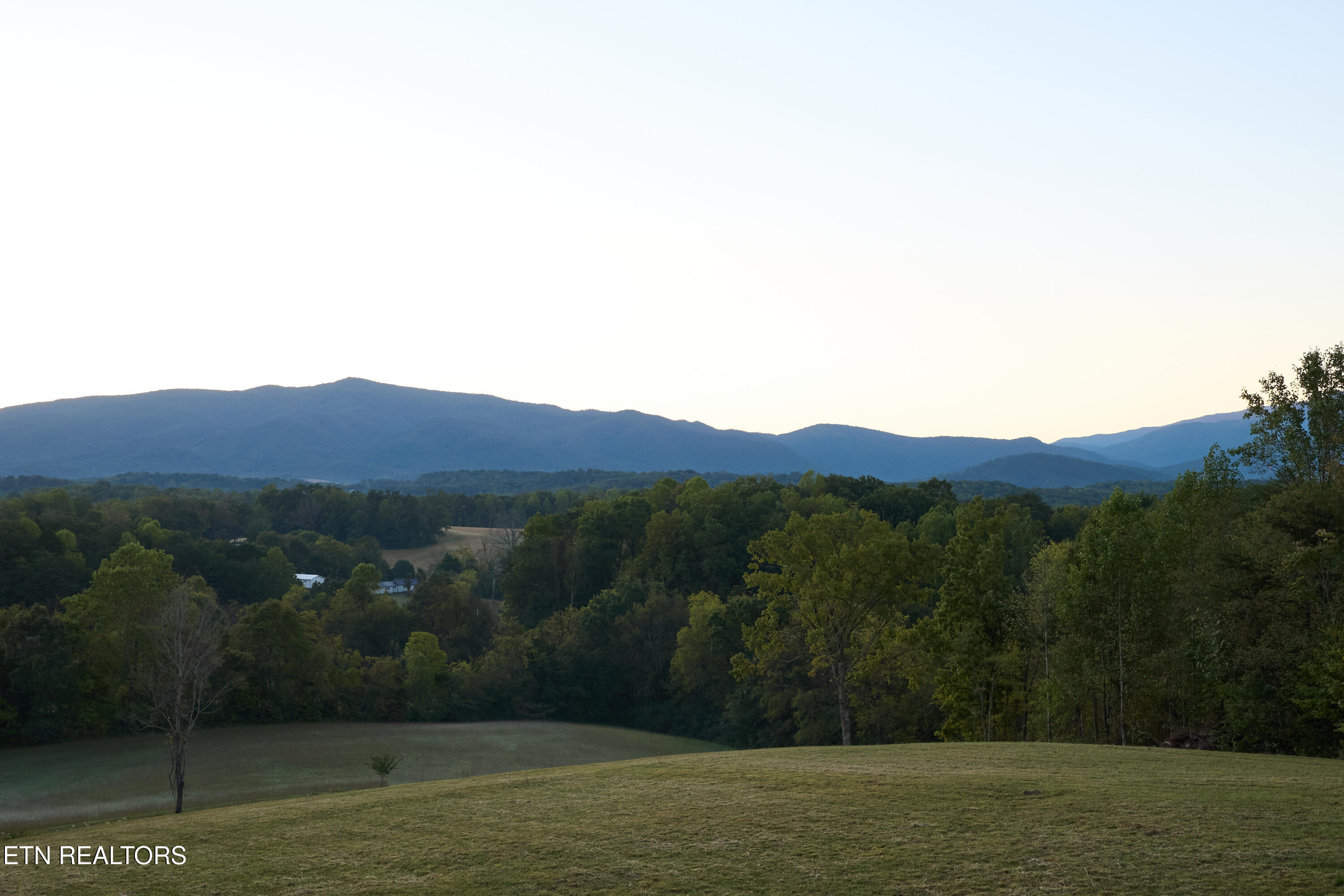 143 Moody Moon Ridge Way Newport, TN 37821 - Photo 11 of 20 Moodymoon_Ridge_Landscape_021 copy