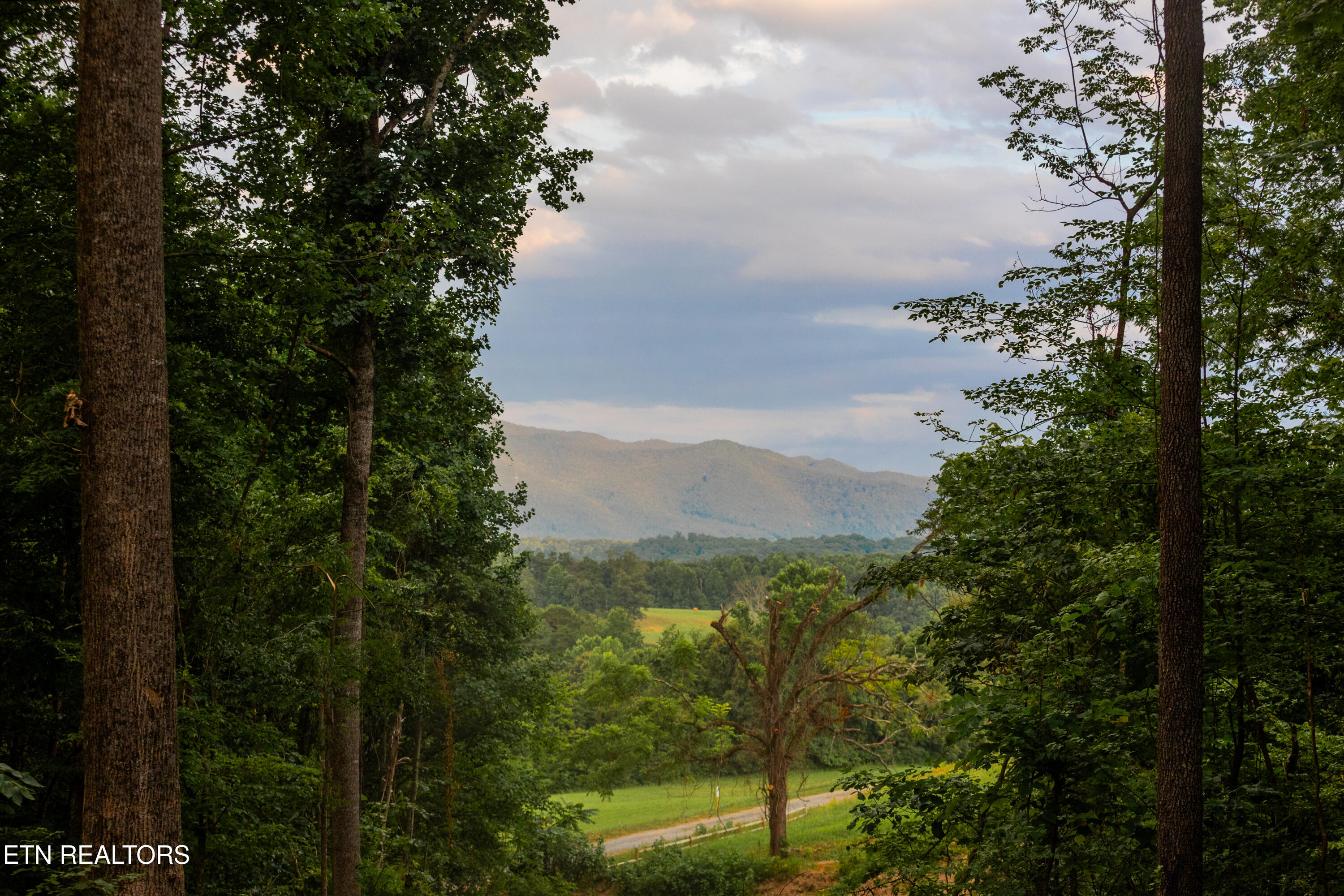 143 Moody Moon Ridge Way Newport, TN 37821 - Photo 10 of 20 37 copy