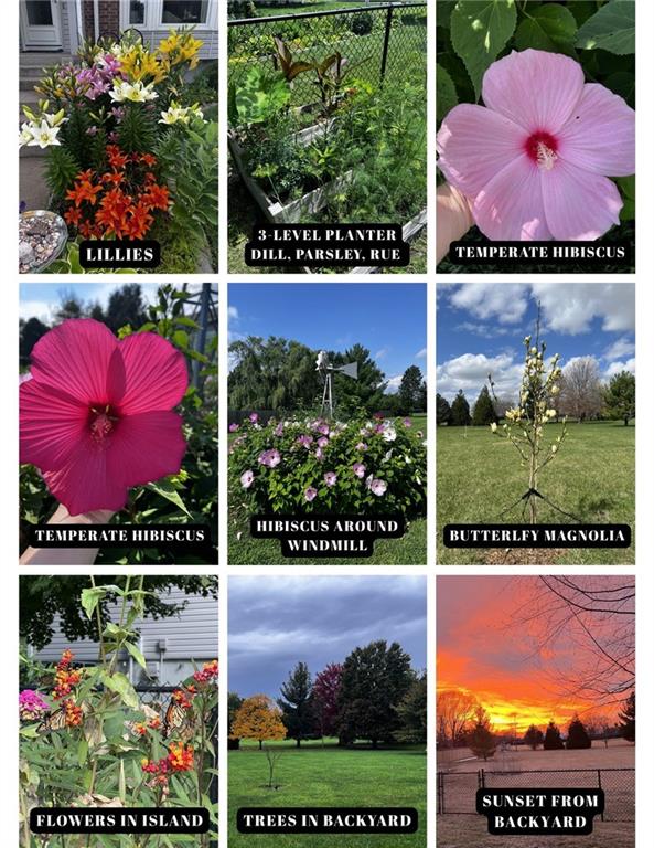 810 Crane Street Raymore, MO 64083 - Photo 53 of 53