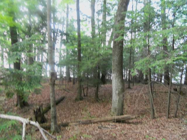 8200-16 Carter Road, Unit 16 Minocqua, WI 54548 - Photo 8 of 9 Gallery Image 8